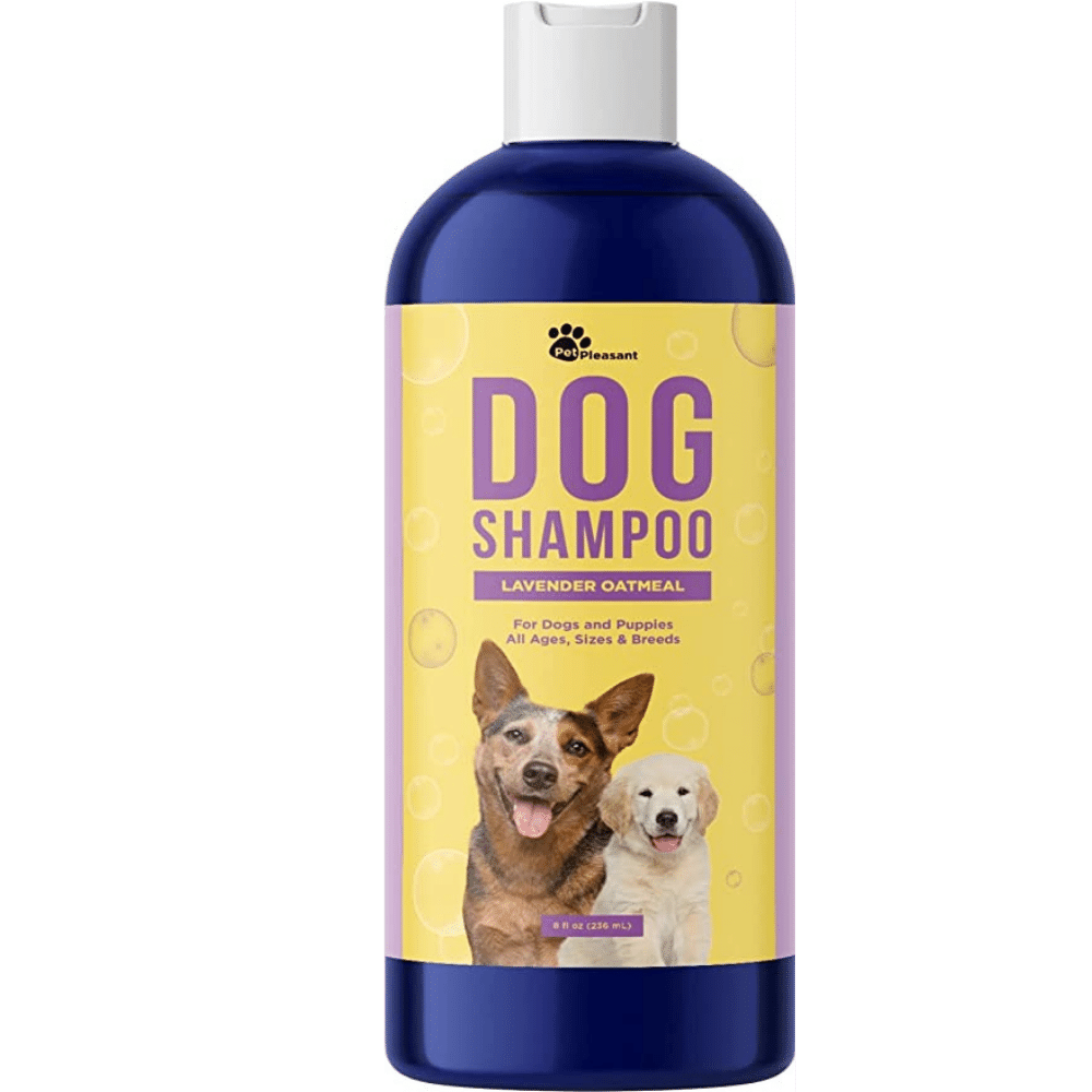 5 Best Shampoo Picks For Your Goldendoodle!