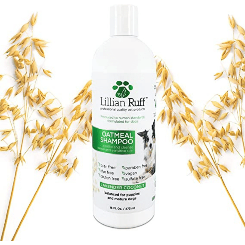 5 Best Shampoos For Labradoodles - Our Favourites For Your Pup!
