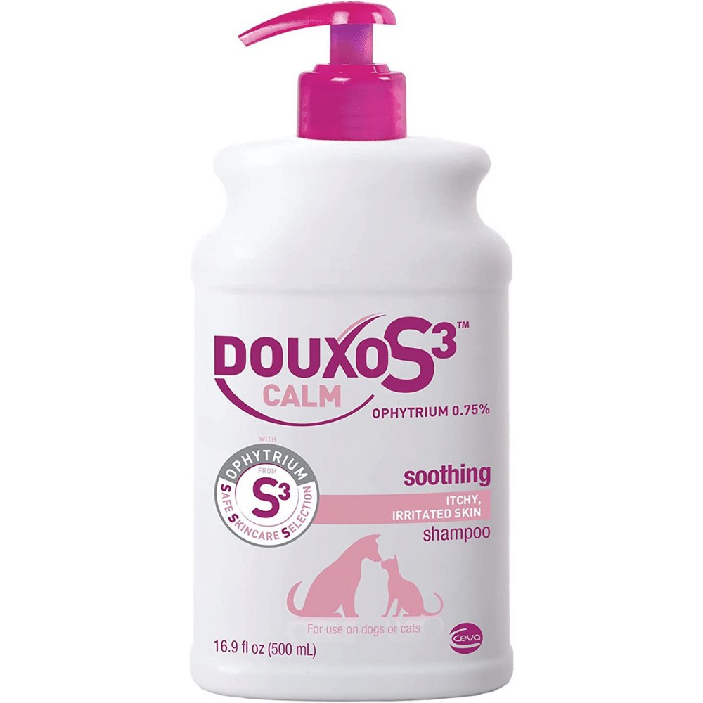 Get a Shiny and Soft Coat With Best Labradoodle Shampoo