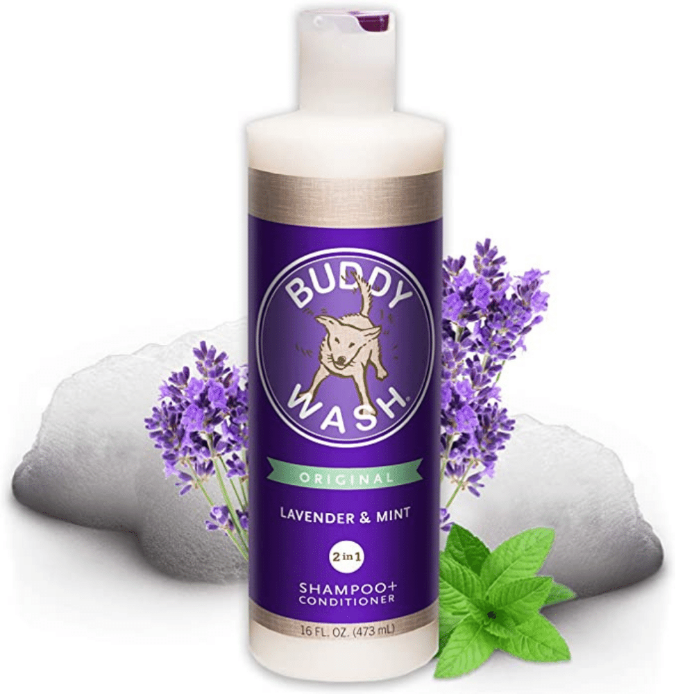 The Top 7 Best Shampoos For Your Doberman!